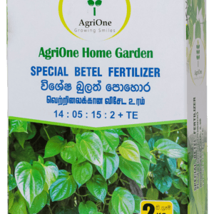 Special Betel (14:05:15:2 +TE)