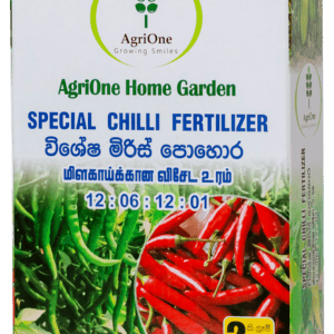Special Chilli (12:06:12:01)