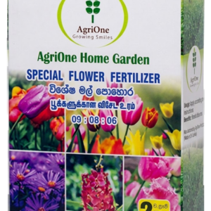 Special Flower (09:08:06)