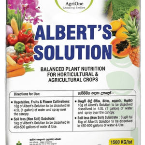 Albert's Solution