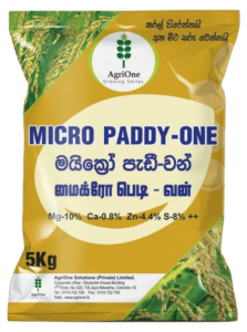 Micro Paddy-One