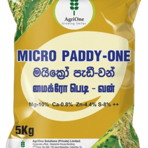 Micro Paddy-One