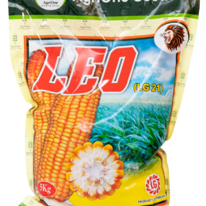 Maize LEO (LG 21)