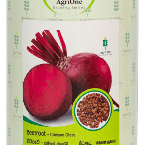 Beetroot - Crimson Globe (OP)