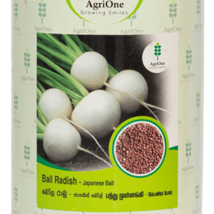 Radish - Japanese Ball (OP)