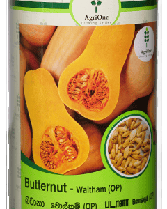 Butternut - Waltham (OP)