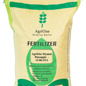 AgriOne Siyanae Pineapple (12:06:19:2)