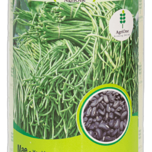 Yard Long Bean - Imported (OP)